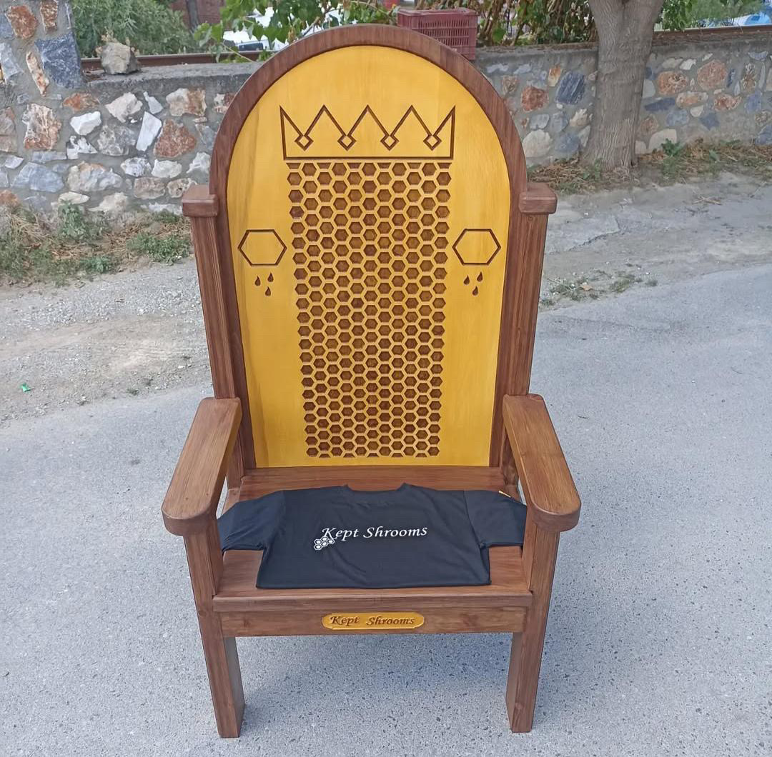 Throne & T shirt hive inspired